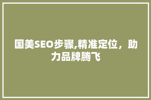 国美SEO步骤,精准定位，助力品牌腾飞