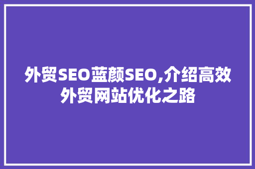外贸SEO蓝颜SEO,介绍高效外贸网站优化之路