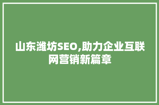 山东潍坊SEO,助力企业互联网营销新篇章