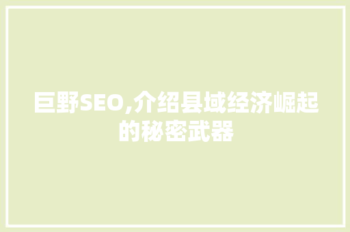 巨野SEO,介绍县域经济崛起的秘密武器
