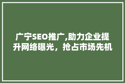 广宁SEO推广,助力企业提升网络曝光，抢占市场先机