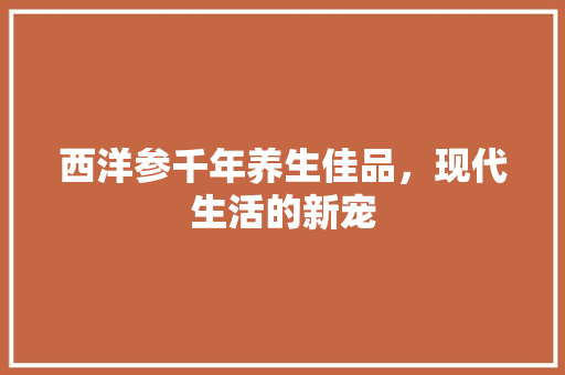 西洋参千年养生佳品，现代生活的新宠