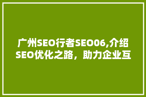 广州SEO行者SEO06,介绍SEO优化之路，助力企业互联网营销腾飞