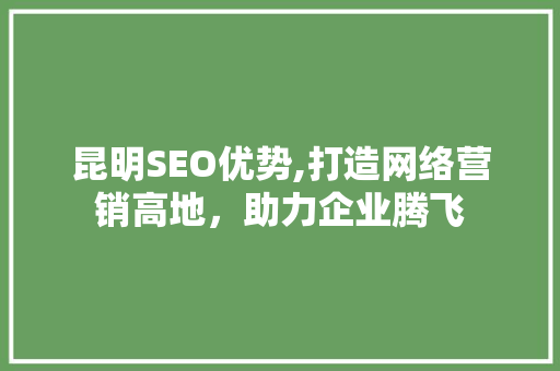 昆明SEO优势,打造网络营销高地，助力企业腾飞