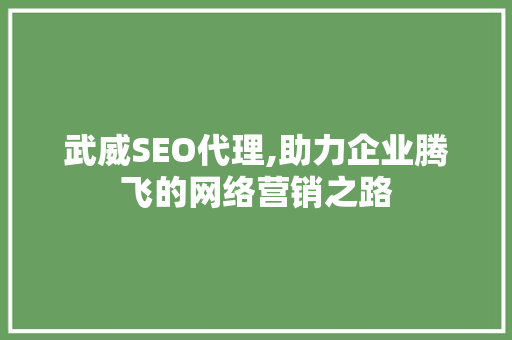 武威SEO代理,助力企业腾飞的网络营销之路  第1张