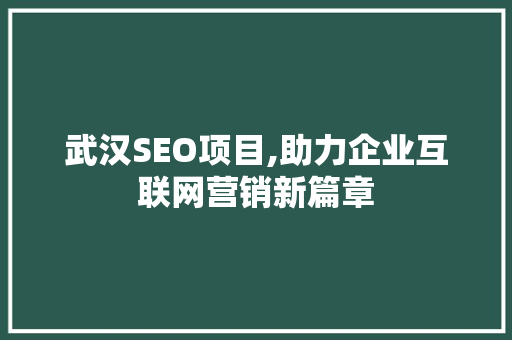 武汉SEO项目,助力企业互联网营销新篇章