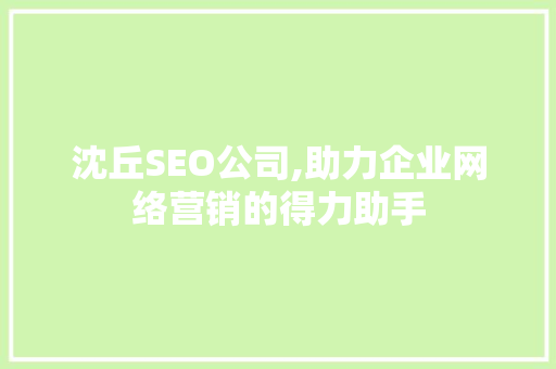 沈丘SEO公司,助力企业网络营销的得力助手