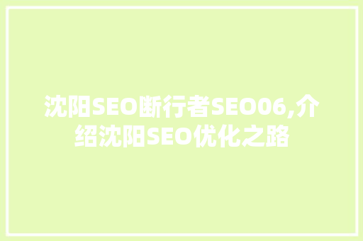 沈阳SEO断行者SEO06,介绍沈阳SEO优化之路