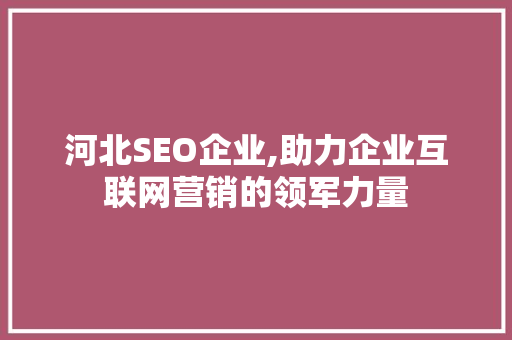 河北SEO企业,助力企业互联网营销的领军力量