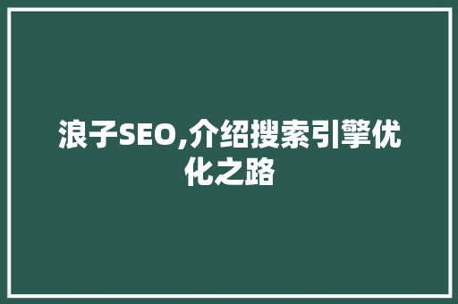 浪子SEO,介绍搜索引擎优化之路