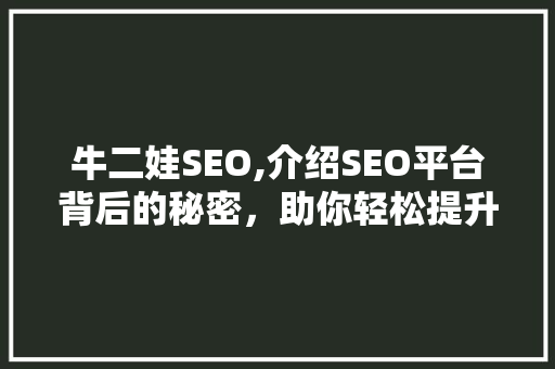 牛二娃SEO,介绍SEO平台背后的秘密，助你轻松提升网站排名