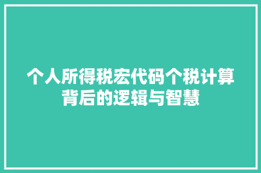 个人所得税宏代码个税计算背后的逻辑与智慧