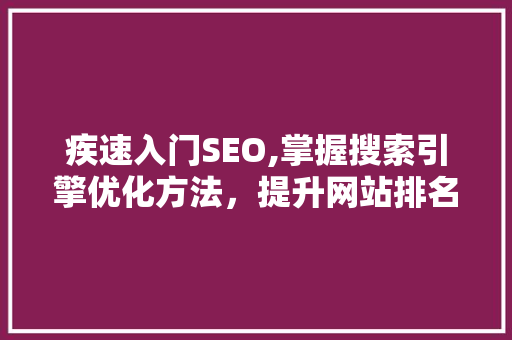 疾速入门SEO,掌握搜索引擎优化方法，提升网站排名