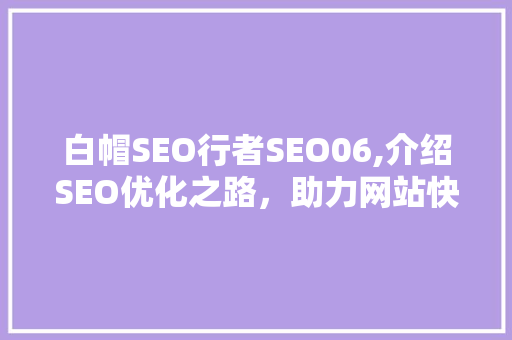 白帽SEO行者SEO06,介绍SEO优化之路，助力网站快速崛起