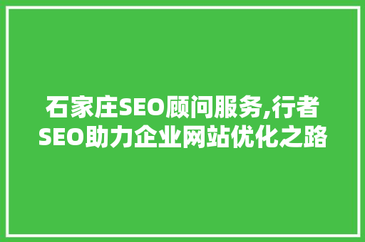 石家庄SEO顾问服务,行者SEO助力企业网站优化之路