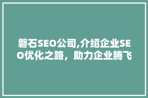 磐石SEO公司,介绍企业SEO优化之路，助力企业腾飞