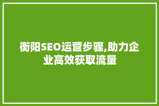 衡阳SEO运营步骤,助力企业高效获取流量  第1张