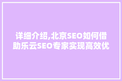 详细介绍,北京SEO如何借助乐云SEO专家实现高效优化