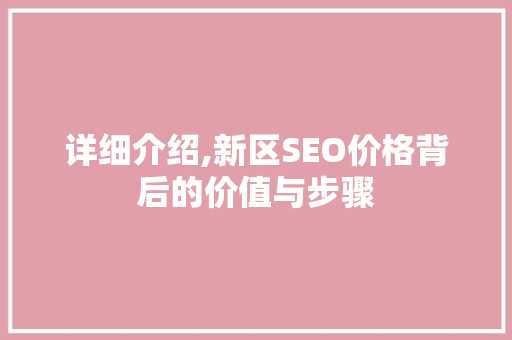 详细介绍,新区SEO价格背后的价值与步骤