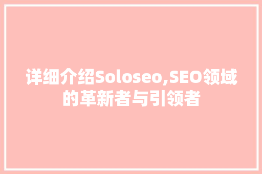 详细介绍Soloseo,SEO领域的革新者与引领者