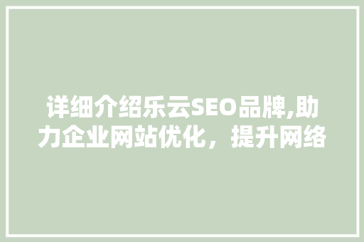 详细介绍乐云SEO品牌,助力企业网站优化，提升网络竞争力