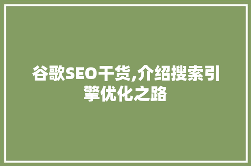 谷歌SEO干货,介绍搜索引擎优化之路