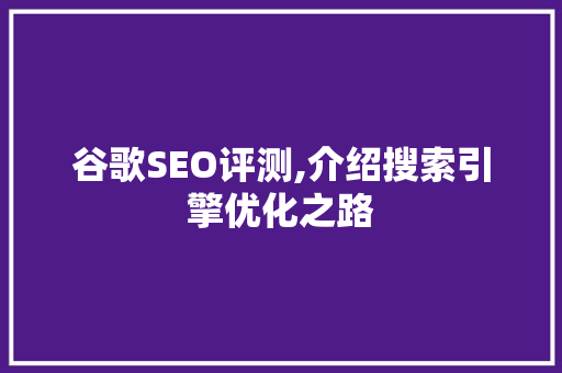 谷歌SEO评测,介绍搜索引擎优化之路