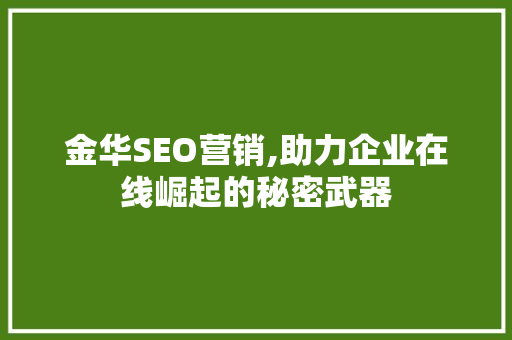 金华SEO营销,助力企业在线崛起的秘密武器