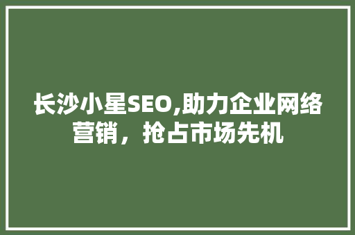 长沙小星SEO,助力企业网络营销，抢占市场先机