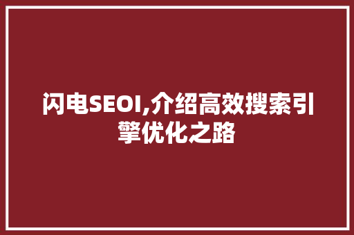 闪电SEOI,介绍高效搜索引擎优化之路