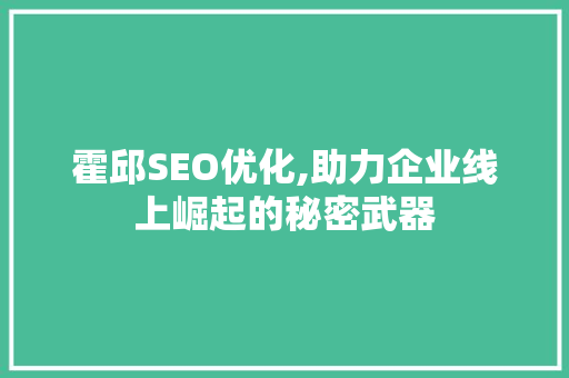 霍邱SEO优化,助力企业线上崛起的秘密武器