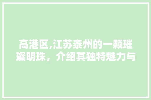 高港区,江苏泰州的一颗璀璨明珠，介绍其独特魅力与未来发展潜力