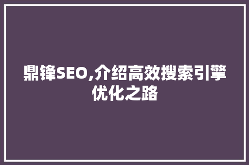 鼎锋SEO,介绍高效搜索引擎优化之路