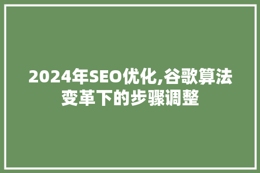 2024年SEO优化,谷歌算法变革下的步骤调整