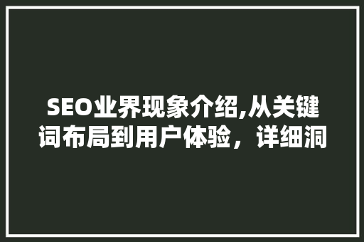 SEO业界现象介绍,从关键词布局到用户体验，详细洞察搜索引擎优化之路