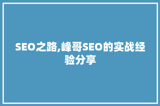 SEO之路,峰哥SEO的实战经验分享