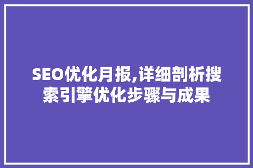 SEO优化月报,详细剖析搜索引擎优化步骤与成果