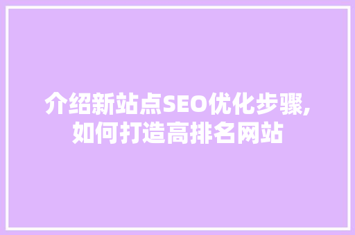 介绍新站点SEO优化步骤,如何打造高排名网站