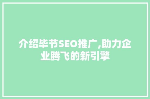 介绍毕节SEO推广,助力企业腾飞的新引擎