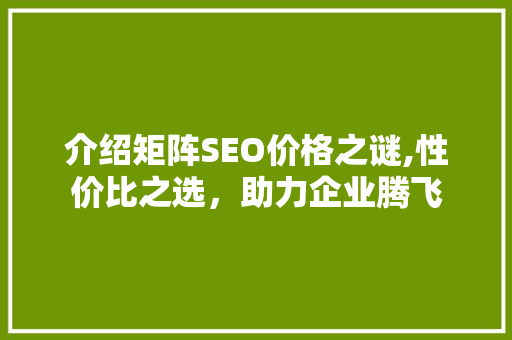 介绍矩阵SEO价格之谜,性价比之选，助力企业腾飞
