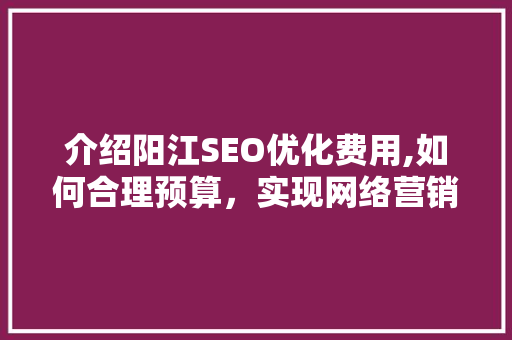 介绍阳江SEO优化费用,如何合理预算，实现网络营销价值最大化
