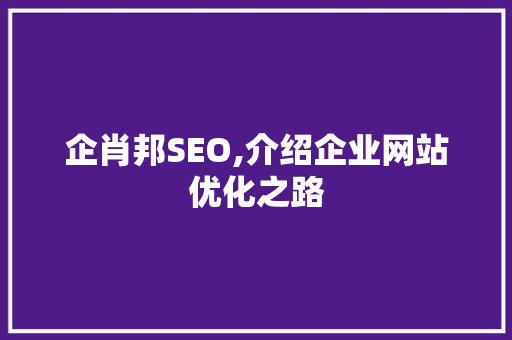 企肖邦SEO,介绍企业网站优化之路