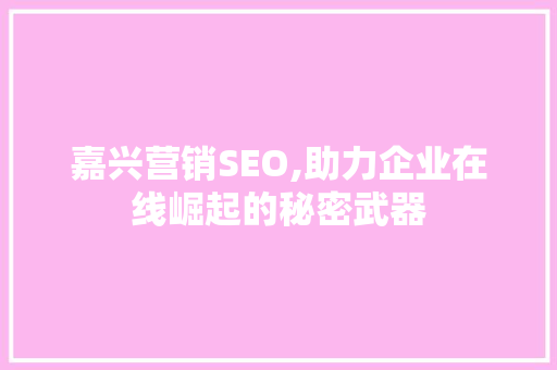 嘉兴营销SEO,助力企业在线崛起的秘密武器