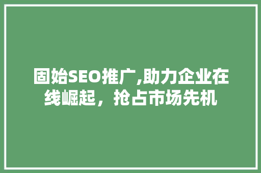 固始SEO推广,助力企业在线崛起，抢占市场先机