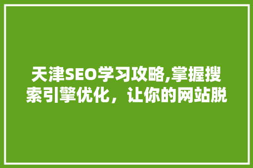 天津SEO学习攻略,掌握搜索引擎优化，让你的网站脱颖而出
