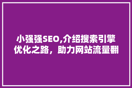 小强强SEO,介绍搜索引擎优化之路，助力网站流量翻倍增长