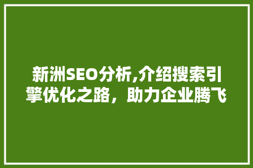 新洲SEO分析,介绍搜索引擎优化之路，助力企业腾飞
