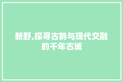 新野,探寻古韵与现代交融的千年古城