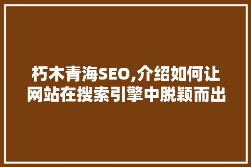 朽木青海SEO,介绍如何让网站在搜索引擎中脱颖而出  第1张