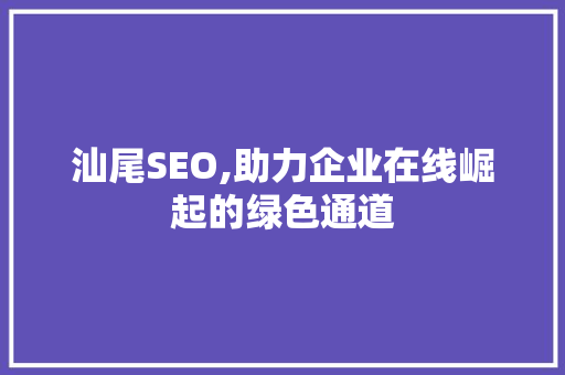 汕尾SEO,助力企业在线崛起的绿色通道